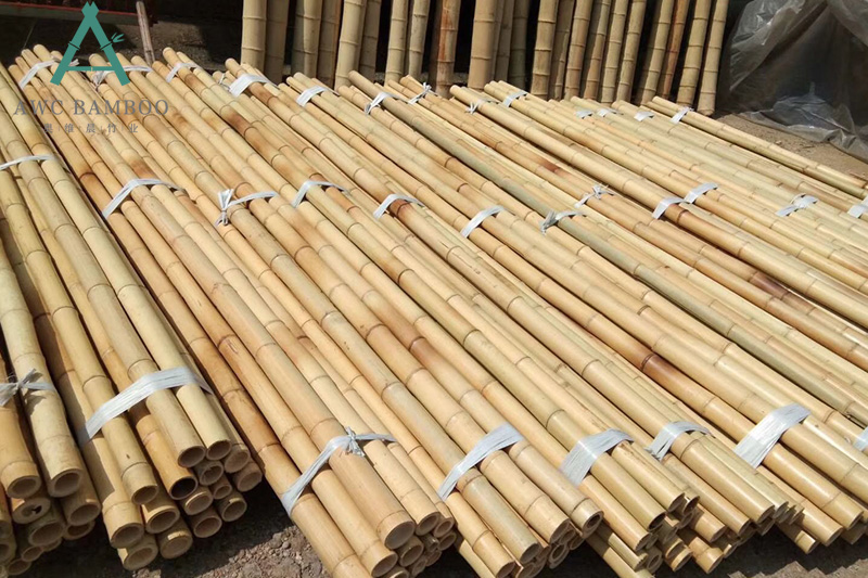 Bamboo Poles for Gardening - Are They Worth It?